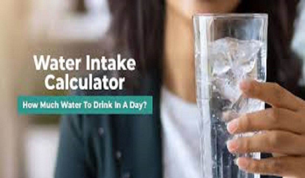 Water Intake Calculator: Daily Hydration Needs – Latest Guide
